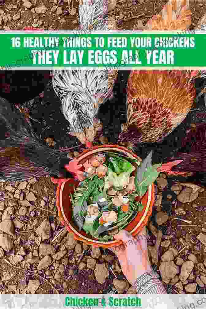 A Balanced Diet Is Essential For Chicken Health And Productivity. How To Raise Strong Healthy Chickens: Quick Start Guide ( How To Books)