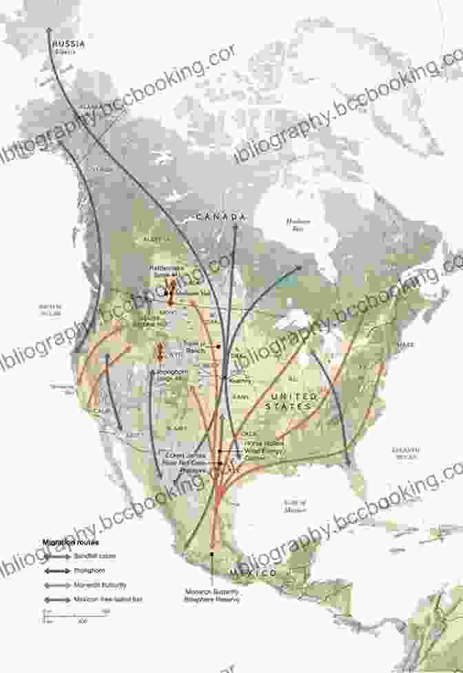 A Detailed Map Illustrating The Annual Migration Routes Of Reindeer Herds Across Vast Arctic Landscapes, Highlighting Their Seasonal Movements And Grazing Areas I See A Reindeer But (You See A WHAT?)
