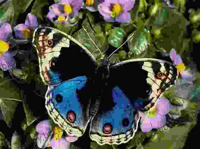 A Photo Of A Butterfly Crocodiles: Photos And Fun Facts For Kids (Kids Learn With Pictures 42)
