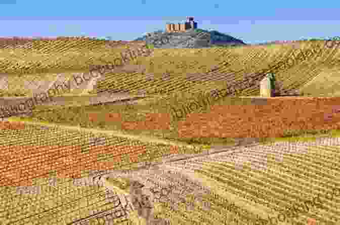 A Photo Of A Vineyard In Rioja, Spain. The Wines Of Northern Spain: From Galicia To The Pyrenees And Rioja To The Basque Country (The Infinite Ideas Classic Wine Library)