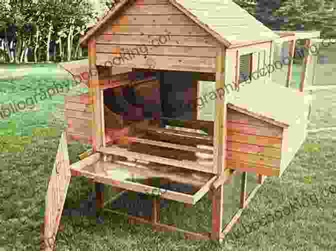 A Well Designed Chicken Coop Provides A Safe And Comfortable Living Space. How To Raise Strong Healthy Chickens: Quick Start Guide ( How To Books)