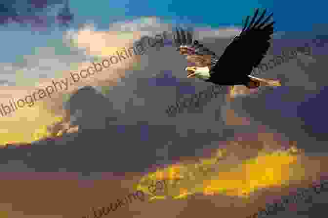 An Elderly Woman And A Majestic Eagle Soaring Through The Sky The Old Woman And The Eagle
