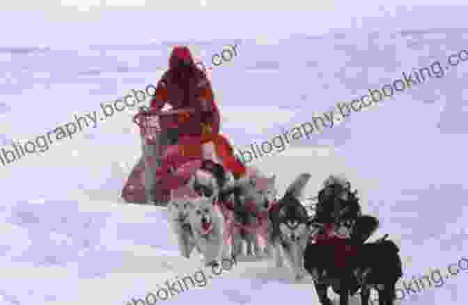 Explorers Traversing The Frozen Landscape Of Antarctica On A Dog Sled In Search Of The South Pole