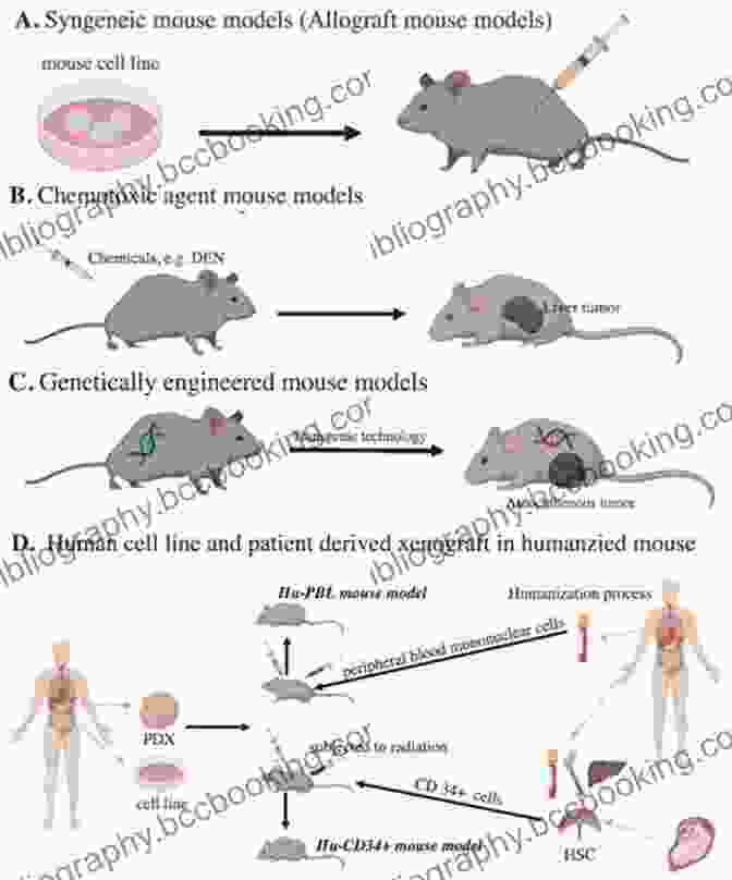 Genetically Modified Mice Used As A Model For Human Disease The Mouse In Biomedical Research: Normative Biology Husbandry And Models (American College Of Laboratory Animal Medicine 3)