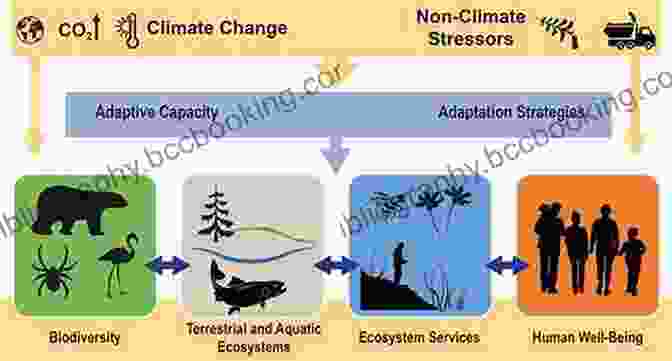Image Depicting The Interconnectedness Of Ecosystem Services, Including Clean Air, Water, And Biodiversity PAYING OURSELVES TO SAVE THE PLANET: A Layman S Explanation Of Modern Money Theory