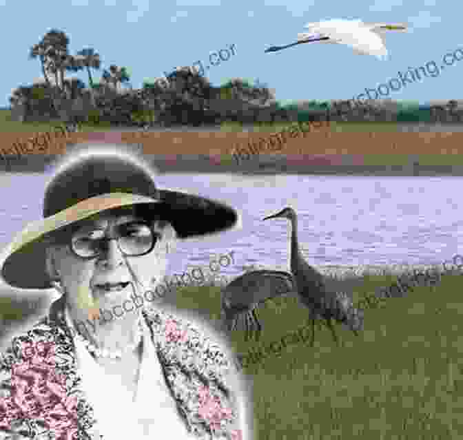 Marjory Stoneman Douglas Standing In A Boat In The Everglades, Surrounded By Lush Vegetation And Birds. An Everglades Providence: Marjory Stoneman Douglas And The American Environmental Century (Environmental History And The American South Ser )
