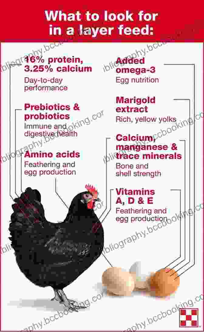Optimal Egg Production Requires Specific Nutritional And Environmental Factors. How To Raise Strong Healthy Chickens: Quick Start Guide ( How To Books)
