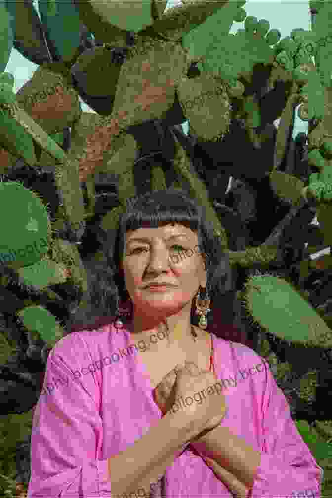 Sandra Cisneros The Mosquito: Five Shortest Stories