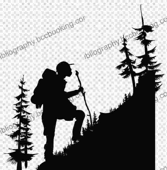 Silhouette Of A Family Hiking On A Mountain Trail Colorado Hiking With Kids: 50 Hiking Adventures For Families