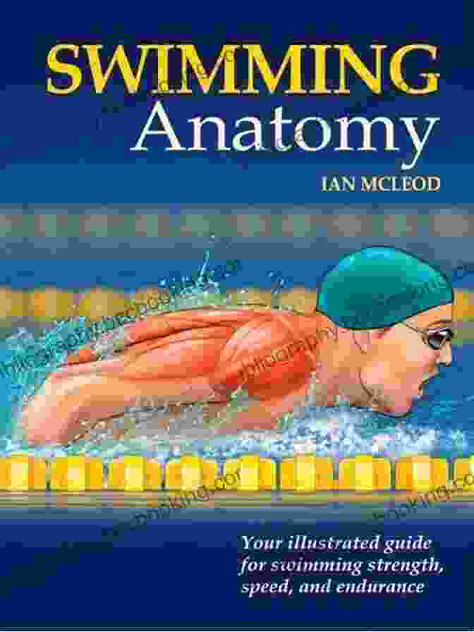 Swimming Injury Prevention Swimming Anatomy Ian McLeod