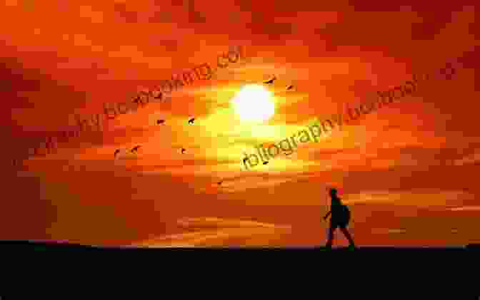 The Silhouette Of A Person Standing In Front Of A Sunset, Representing The Unknown Of Death The Life Beyond Death (includes A Table Of Contents)