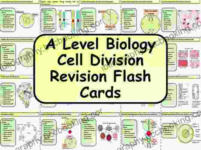 Vibrant And Engaging Flash Cards For Effective Biology Review PCAT Prep Test BIOLOGY REVIEW Flash Cards CRAM NOW PCAT Exam Review Study Guide (Cram Now PCAT Study Guide 3)