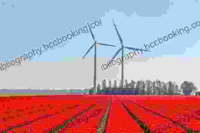 Windmills, A Symbol Of Dutch Sustainability And Renewable Energy The Netherlands (Modern World Nations (Hardcover))