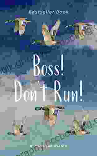 Boss Don T Run Irene McHenry