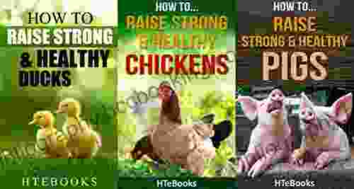 How To Raise Strong Healthy Farm Animals 3 In 1: Covers Chickens Ducks And Pigs ( How To Books)