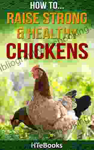 How To Raise Strong Healthy Chickens: Quick Start Guide ( How To Books)