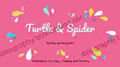 Turtle And Spider (Simple Stories)