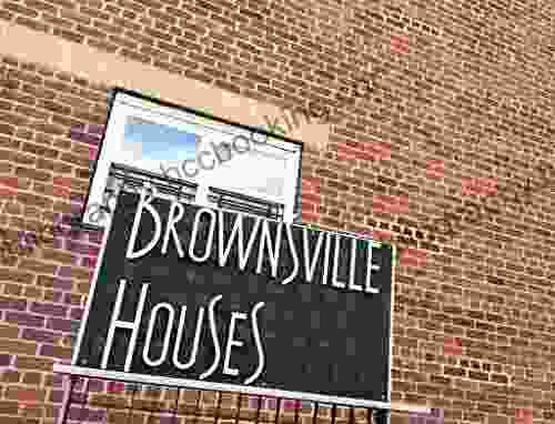 Brownsville Summer Poem (Project Poetry Book)