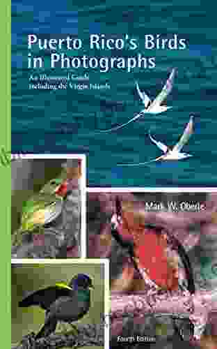 Puerto Rico S Birds In Photographs: An Illustrated Guide Including The Virgin Islands